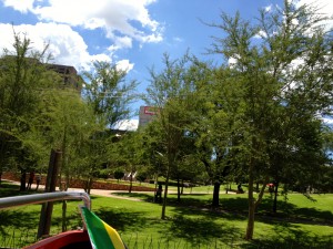 A park. Smack dab in the middle of the city!!!